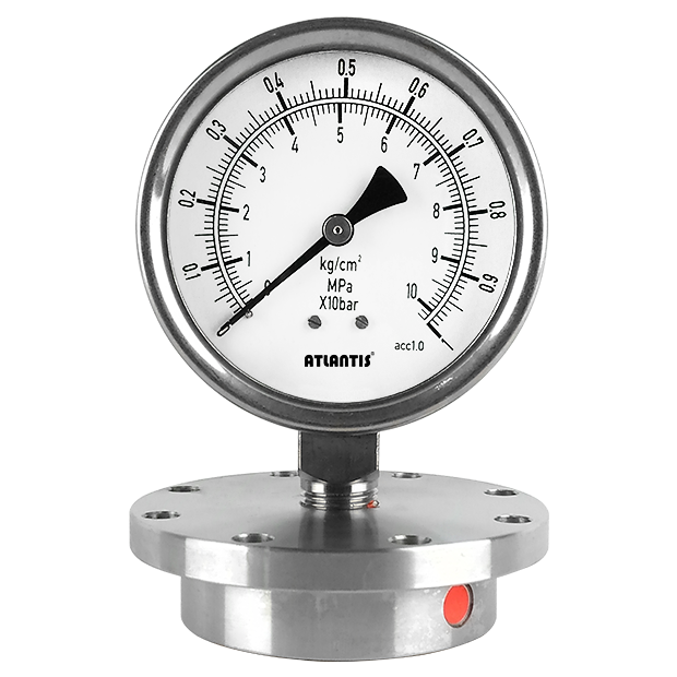 Diaphragm Seal Sanitary Pressure Gauge